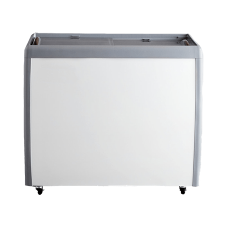 EFI FCFG-39 Flat Glass Ice Cream Freezer